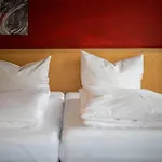 Hotel Schaefle Feldkirch-altenstadt Feldkirch