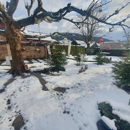 Schaefle Feldkirch-altenstadt فندق