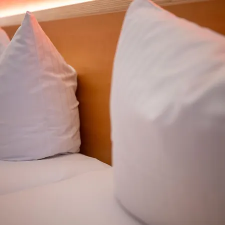 Hotel Schaefle Landgasthof 3*