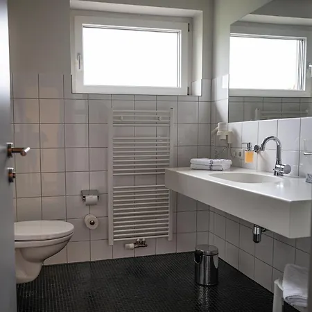 Hotel Schaefle Landgasthof 3*