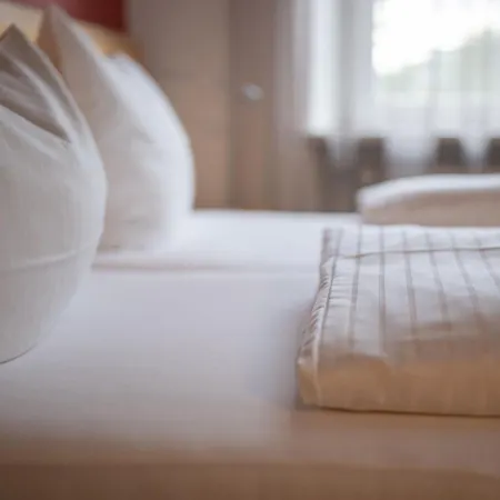 Schaefle Feldkirch-altenstadt Feldkirch