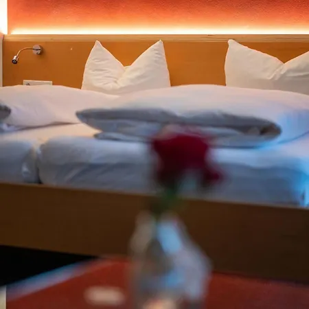 Hotel Schaefle Feldkirch-altenstadt 3*